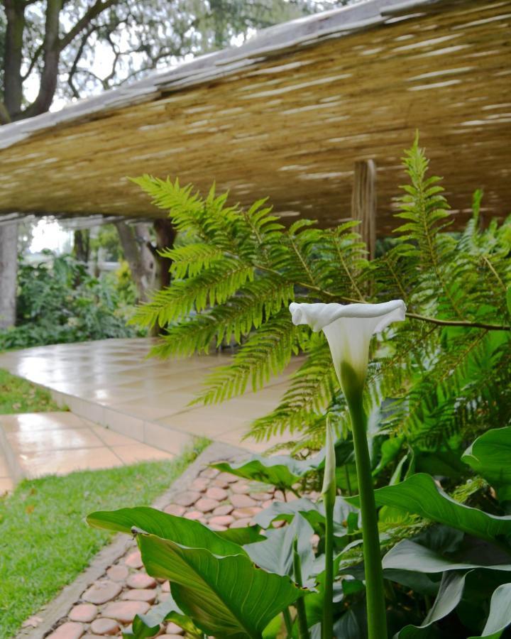 Highveld Splendour Boutique Bed And Breakfast Ermelo Εξωτερικό φωτογραφία
